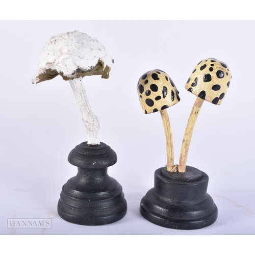 698 - TWO FOLK ART PAINTED WOOD MUSHROOM SPECIMENS. 15cm high. (2)