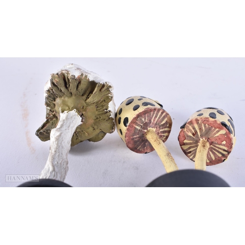 698 - TWO FOLK ART PAINTED WOOD MUSHROOM SPECIMENS. 15cm high. (2)