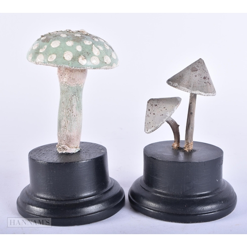 699 - TWO FOLK ART PAINTED WOOD MUSHROOM SPECIMENS. 15cm high. (2)