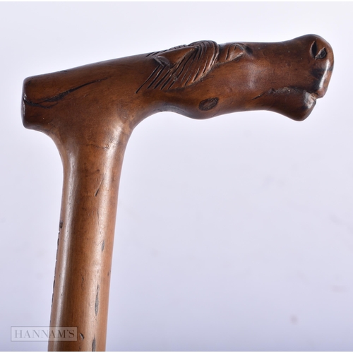 7 - AN ANTIQUE GREEK CARVED WOOD HORSE HEAD WALKING CANE. 91 cm long.