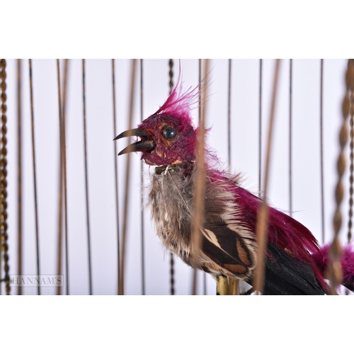 705 - A LARGE 19TH CENTURY EUROPEAN GILT METAL CASED AUTOMATON SINGING BIRD CAGE. 52 cm x 20 cm.