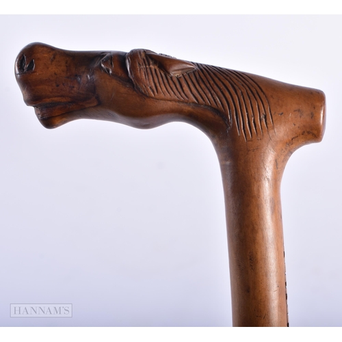 7 - AN ANTIQUE GREEK CARVED WOOD HORSE HEAD WALKING CANE. 91 cm long.