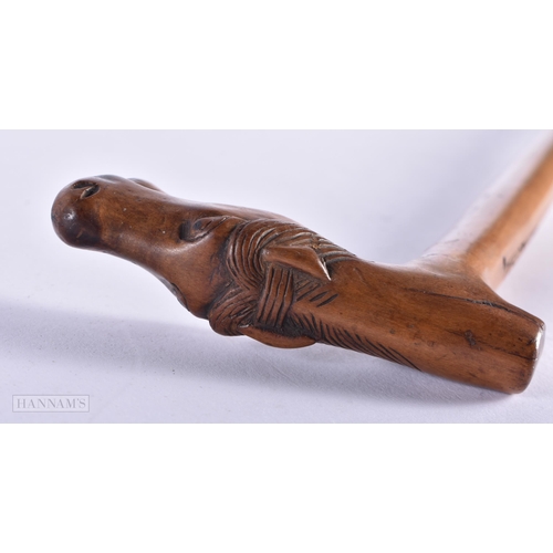 7 - AN ANTIQUE GREEK CARVED WOOD HORSE HEAD WALKING CANE. 91 cm long.