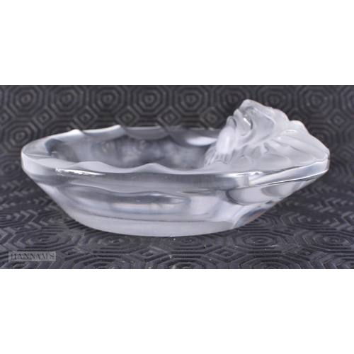 776 - A FRENCH LALIQUE GLASS LION DISH. 13 cm wide.