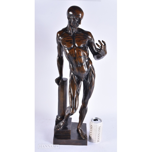 613 - Franz Von Stuck (1863-1928) German, Anatomical bronze study of a male. No 1 of 20. 62 cm high.