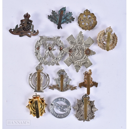 630 - Military Cap Badges Inc Border Regt, Scottish Cadets, Etc. (12)