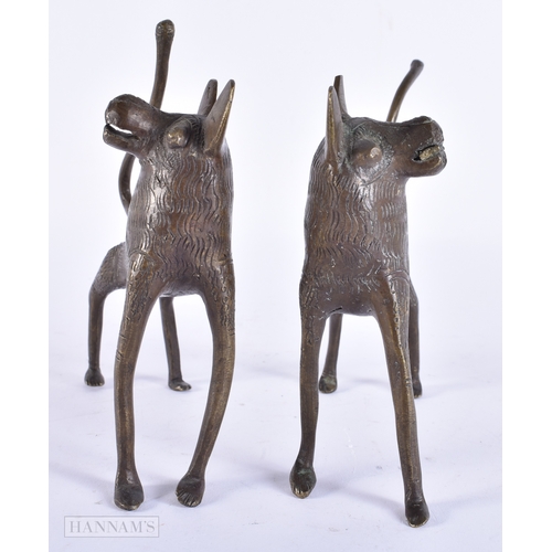 117 - A PAIR OF ANTIQUE AFRICAN BRONZE WOLVES. 15 cm wide.
