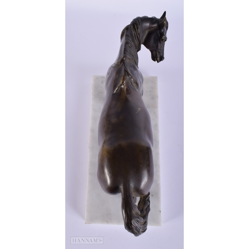 411 - A FINE 19TH CENTURY EUROPEAN GRAND TOUR BRONZE FIGURE OF A HORSE modelled upon a marble plinth. 27 c... 