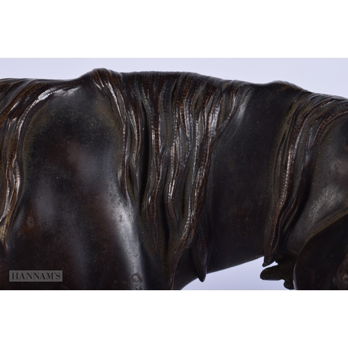 411 - A FINE 19TH CENTURY EUROPEAN GRAND TOUR BRONZE FIGURE OF A HORSE modelled upon a marble plinth. 27 c... 