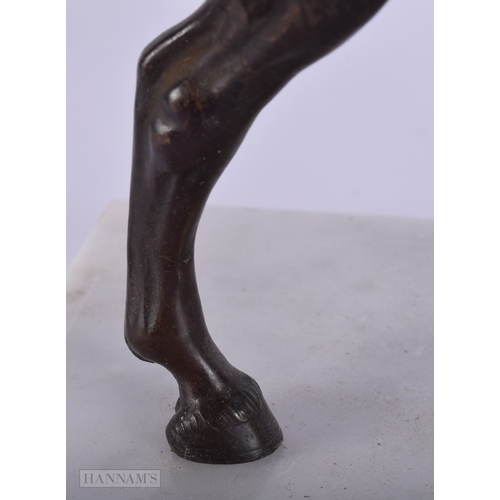 411 - A FINE 19TH CENTURY EUROPEAN GRAND TOUR BRONZE FIGURE OF A HORSE modelled upon a marble plinth. 27 c... 