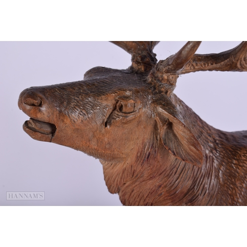 412 - A LARGE 19TH CENTURY BAVARIAN BLACK FOREST CARVED WOOD STAG. Signed. 32 cm x 27 cm.