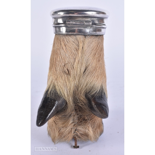 29 - A LATE VICTORIAN TAXIDERMY DEER HOOF INKWELL with white metal mounts. 15cm x 10 cm.