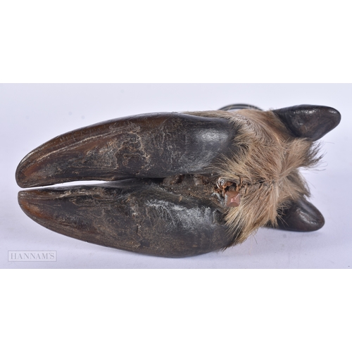 29 - A LATE VICTORIAN TAXIDERMY DEER HOOF INKWELL with white metal mounts. 15cm x 10 cm.