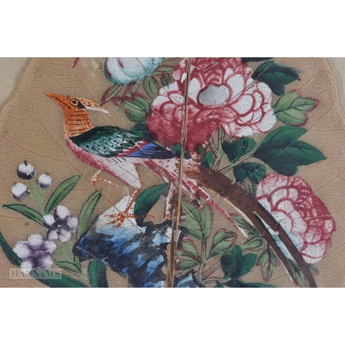 65 - TWO INDIAN PAINTED LEAF PAINTINGS. Largest 28cm x 18cm. (2)