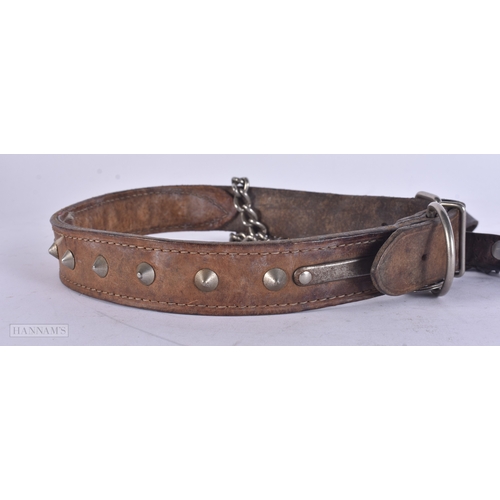 66 - A VINTAGE LEATHER BRUTALIST STUDWORK DOG COLLAR. 42 cm long.