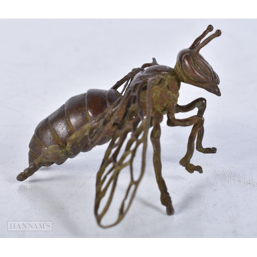 3018 - A Japanese bronze Hornet 6x10cm.