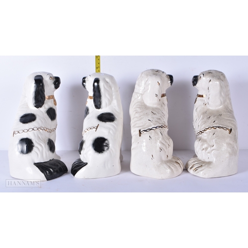 3037 - Two pairs of Staffordshire flat back dogs 23cm (4)