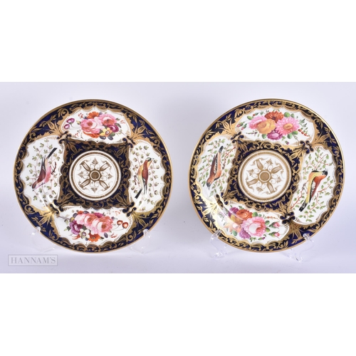 330 - A PAIR OF EARLY 19TH CENTURY COALPORT PORCELAIN BIRD AND FLOWER PLATES. 23 cm wide.