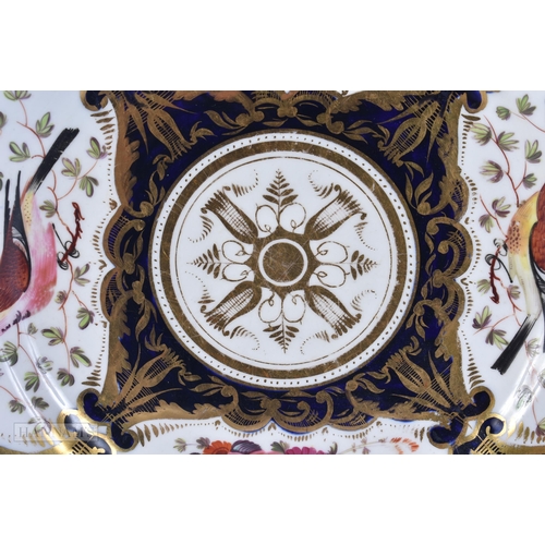 330 - A PAIR OF EARLY 19TH CENTURY COALPORT PORCELAIN BIRD AND FLOWER PLATES. 23 cm wide.