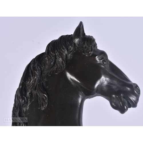 443 - A RARE 19TH CENTURY EUROPEAN BRONZE FIGURE OF A WINGED HORSE modelled upon a marble base. 35 cm x 18... 