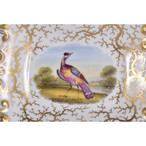 445 - AN EARLY 19TH CENTURY FLIGHT BARR AND BARR WORCESTER DISH together with a C1780 Worcester teabowl an... 