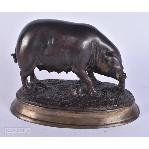 458 - A LARGE FRENCH BRONZE OF A PIG. 24 cm x 18 cm.