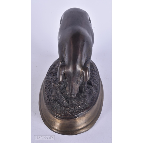 458 - A LARGE FRENCH BRONZE OF A PIG. 24 cm x 18 cm.
