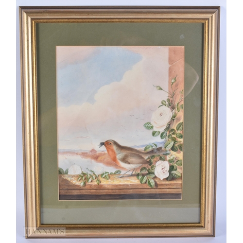 Lot 49        