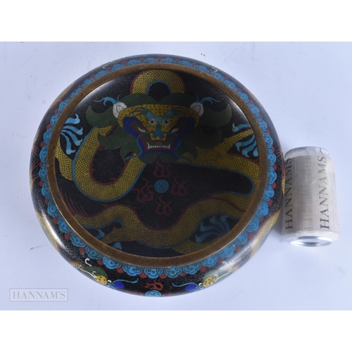 Lot 491       