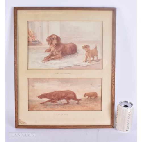 Lot 503       