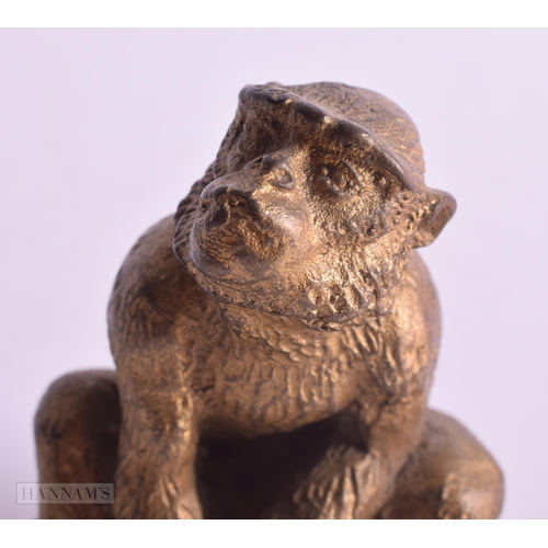 533 - AN ANTIQUE BRONZE FIGURE OF A MONKEY. 8 cm x 8 cm.