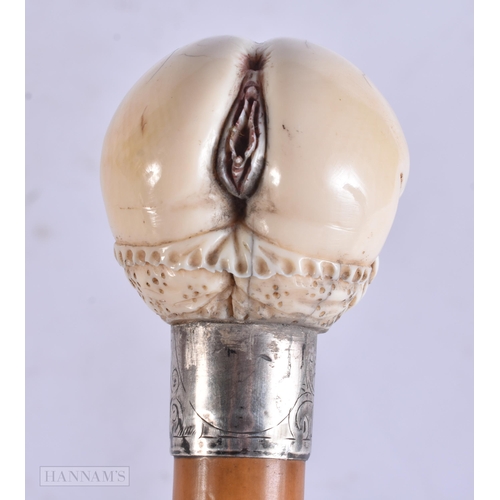 665 - A RARE VICTORIAN SILVER MOUNTED EROTIC VAGINA WALKING CANE. 88 cm long.