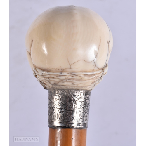 665 - A RARE VICTORIAN SILVER MOUNTED EROTIC VAGINA WALKING CANE. 88 cm long.