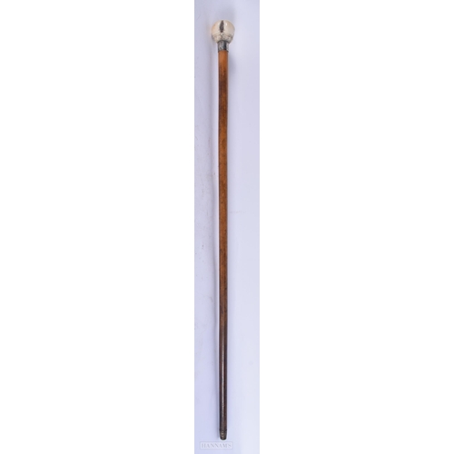 665 - A RARE VICTORIAN SILVER MOUNTED EROTIC VAGINA WALKING CANE. 88 cm long.