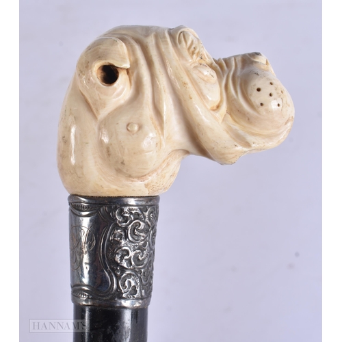 667 - A RARE VICTORIAN SILVER MOUNTED CARVED DOG HEAD WALKING CANE. 83 cm long.