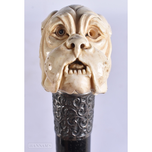 667 - A RARE VICTORIAN SILVER MOUNTED CARVED DOG HEAD WALKING CANE. 83 cm long.