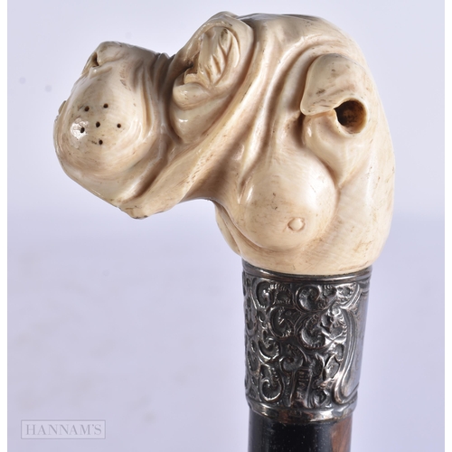 667 - A RARE VICTORIAN SILVER MOUNTED CARVED DOG HEAD WALKING CANE. 83 cm long.