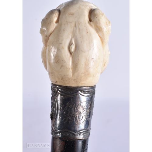 667 - A RARE VICTORIAN SILVER MOUNTED CARVED DOG HEAD WALKING CANE. 83 cm long.