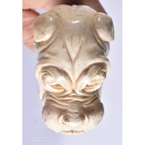 667 - A RARE VICTORIAN SILVER MOUNTED CARVED DOG HEAD WALKING CANE. 83 cm long.