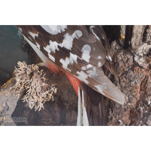 921 - AN UNUSUAL VICTORIAN/EDWARDIAN J SAYER TAXIDERMY BIRDS NEST TREE TRUNK DISPLAY. 40 cm x 40 cm.