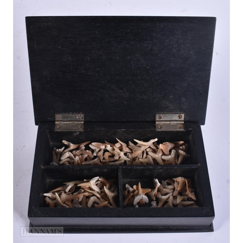 932 - A BOX OF PREHISTORIC SHARKS TEETH. (qty)