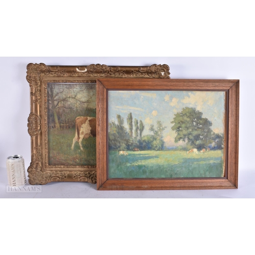 Lot 993       