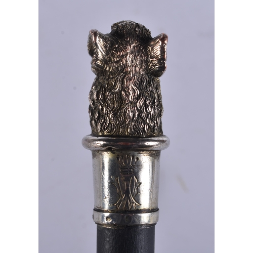 242 - AN ANTIQUE SILVER MOUNTED BOAR HEAD WALKING STICK. 100 cm long.