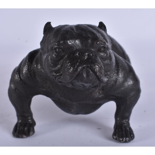 244 - A BRONZE BULLDOG. 19 cm wide.