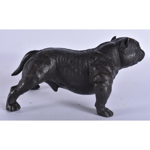 244 - A BRONZE BULLDOG. 19 cm wide.