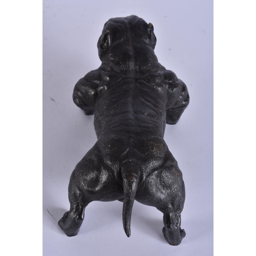 244 - A BRONZE BULLDOG. 19 cm wide.