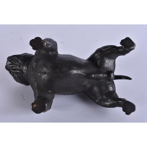 244 - A BRONZE BULLDOG. 19 cm wide.
