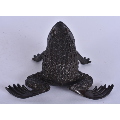 245 - A BRONZE TOAD. 11cm x 13 cm.
