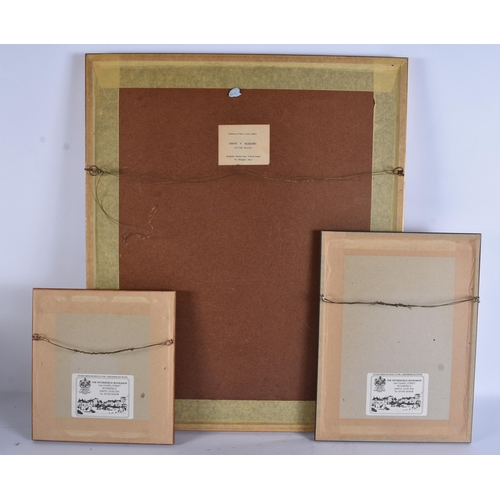 253 - THREE ENGRAVINGS. Largest 60cm x 50 cm. (3)