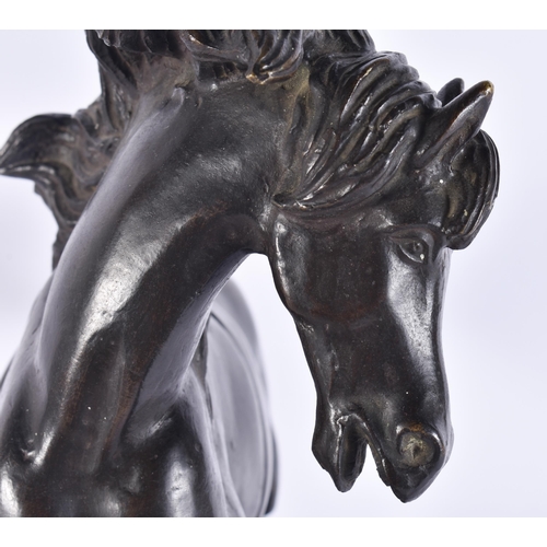 160F - A LARGE 19TH CENTURY EUROPEAN GRAND TOUR BRONZE FIGURE OF A HORSE modelled rearing upon a rectangula... 